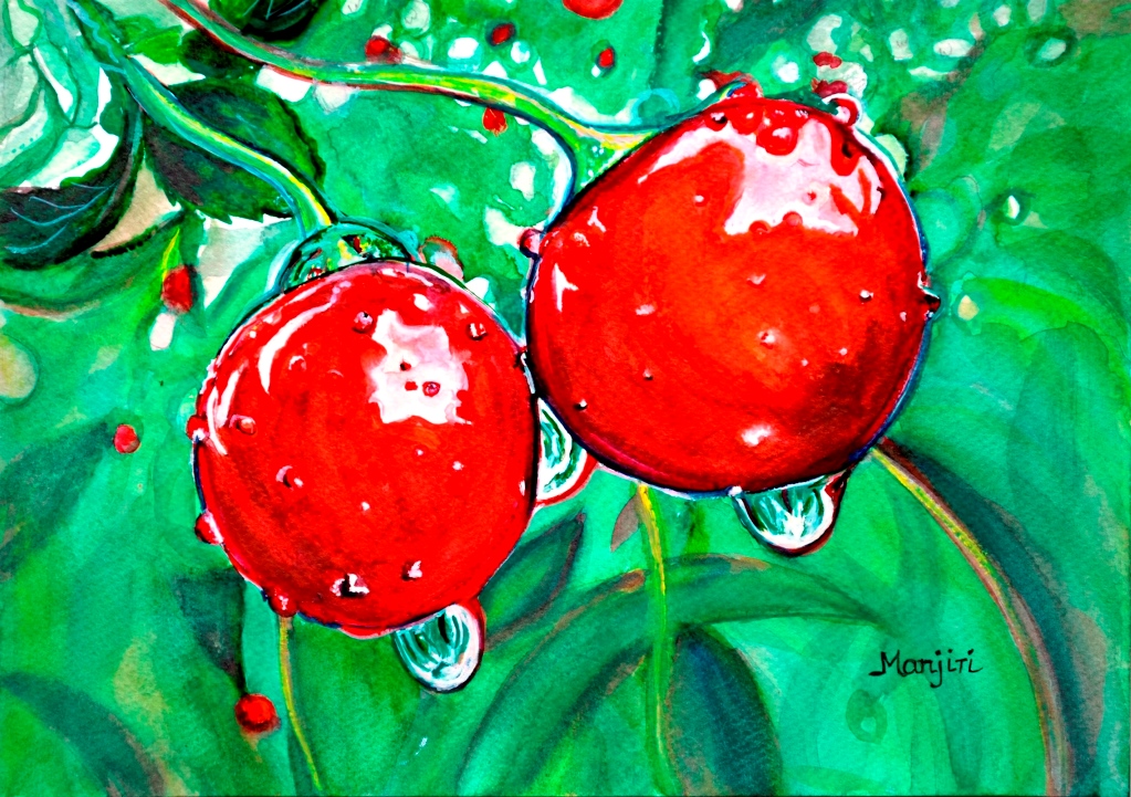 Red ripe Cherry in Orchard watercolor painting